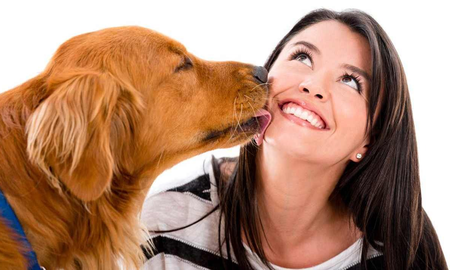Un estudio reveló por qué los perros lamen a sus dueños en la cara Un estudio reveló por qué los perros lamen a sus dueños en la cara