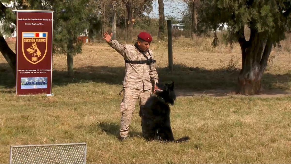 La capacitación se desarrolló en Recreo, en el predio del Instituto de Seguridad Pública donde funciona la Sección Perros de la Policía de Santa Fe. La capacitación se desarrolló en Recreo, en el predio del Instituto de Seguridad Pública donde funciona la Sección Perros de la Policía de Santa Fe.