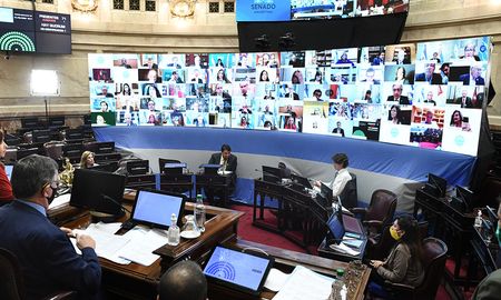 Aire de Santa Fe | senado sesion virtual NA.jpg