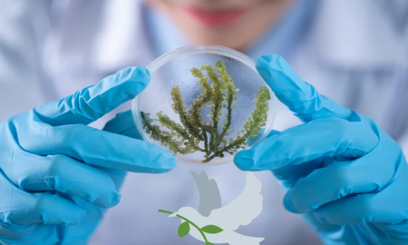 Día Mundial de la Ciencia para la Paz y el Desarrollo.