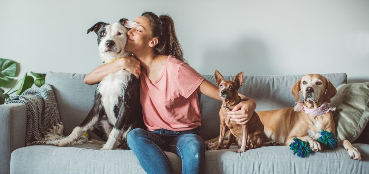 Las mascotas pueden ayudar a reducir la posibilidad de tener demencia. Las mascotas pueden ayudar a reducir la posibilidad de tener demencia.