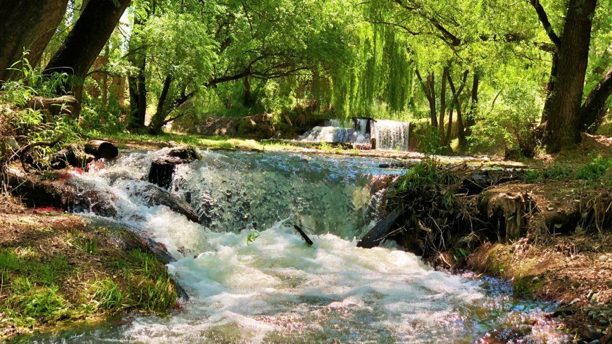 Los arroyos de agua de deshielo que cruzan el camping mantienen una temperatura fresca durante todo el año, ideal para los meses de verano. Los arroyos de agua de deshielo que cruzan el camping mantienen una temperatura fresca durante todo el año, ideal para los meses de verano.