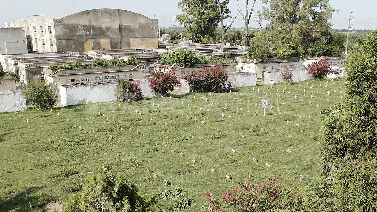 Las imágenes que muestran el abandono del Cementerio Municipal
