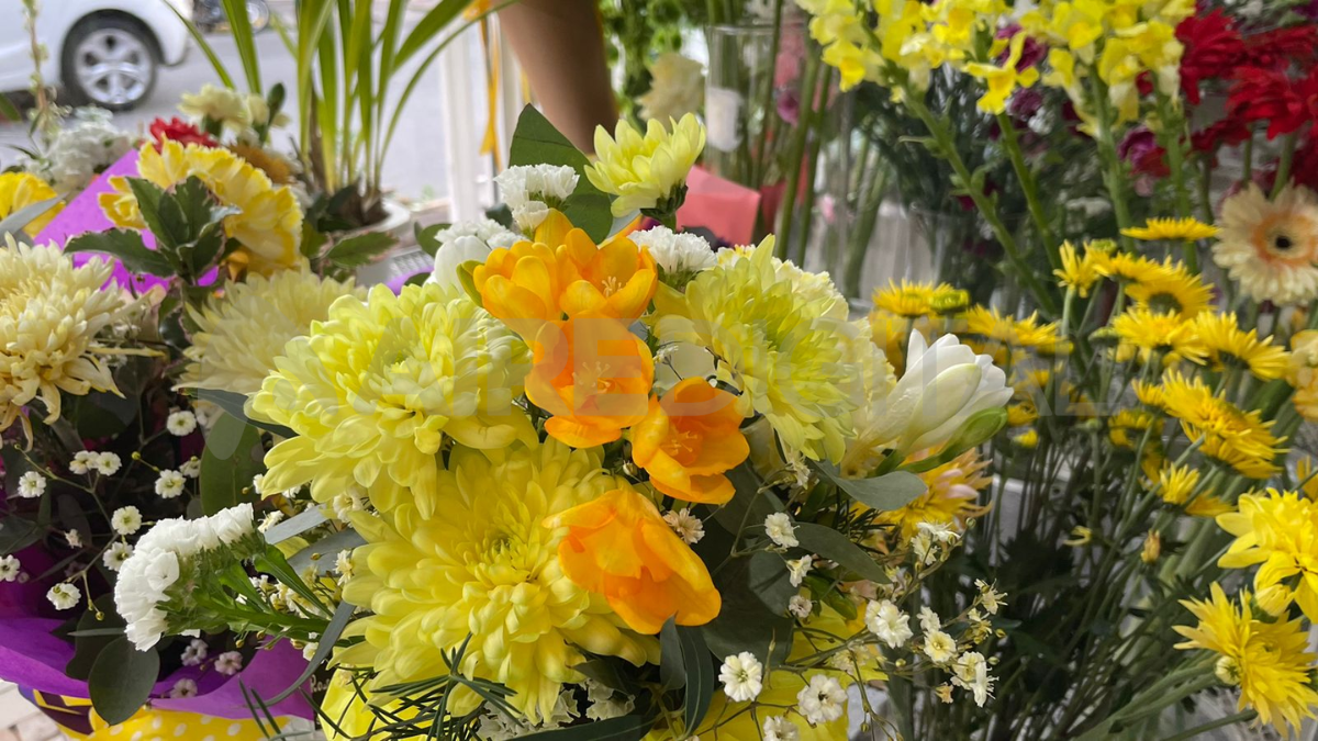 Llega la primavera: el origen de la tradición de regalar flores amarillas