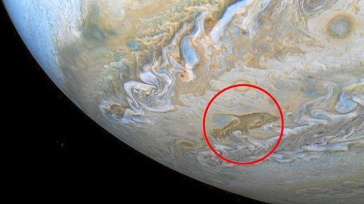 La NASA fotografió a un "delfín espacial" en la superficie de Júpiter. La NASA fotografió a un "delfín espacial" en la superficie de Júpiter.
