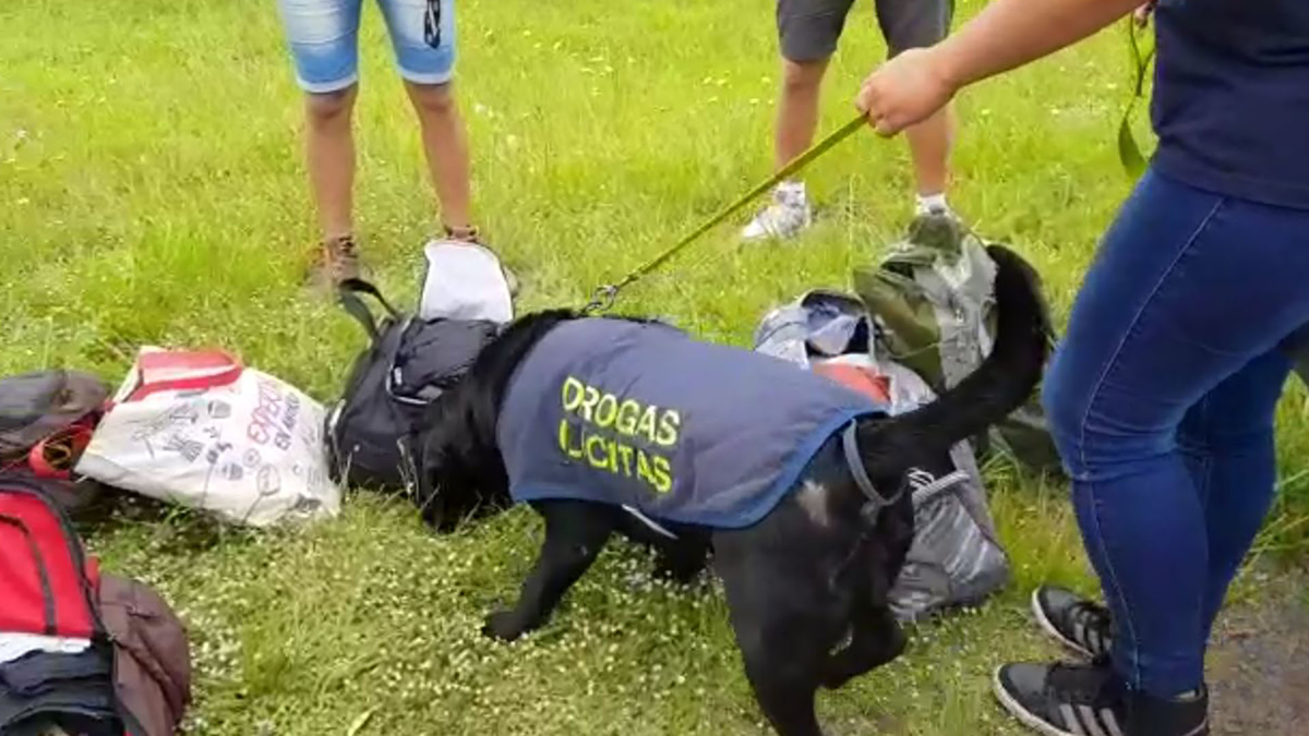 Secuestran más de 32 kilos de cocaína en el radiador de una camioneta de alta gama en Jujuy
