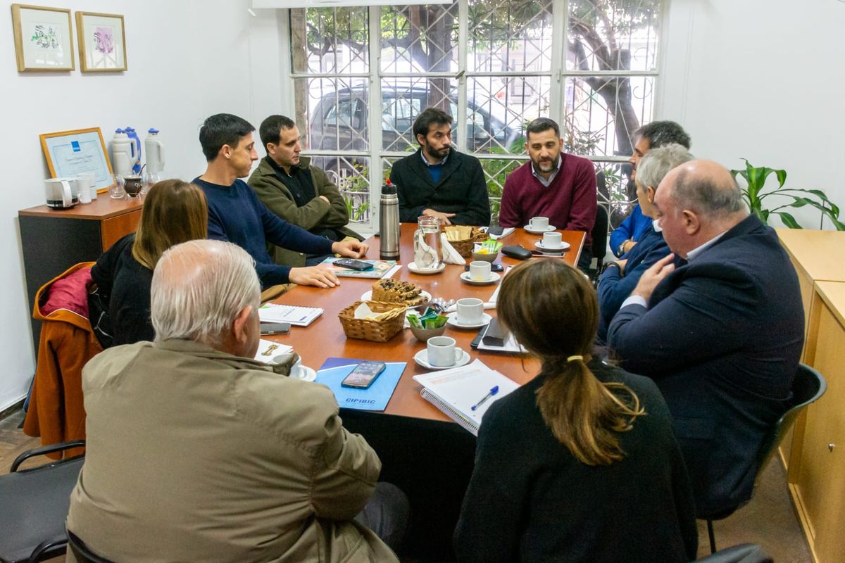El diputado Mariano Cuvertino y el senador Paco Garibaldi se reunieron con representantes del sector industrial: "Nos manifestaron su preocupación por el plazo previsto para sostener los beneficios del RIGI". El diputado Mariano Cuvertino y el senador Paco Garibaldi se reunieron con representantes del sector industrial: "Nos manifestaron su preocupación por el plazo previsto para sostener los beneficios del RIGI".