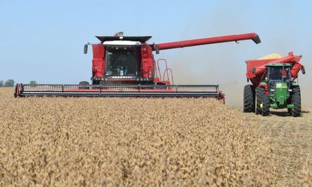crece el optimismo en el sector agropecuario, aunque la inversion a largo plazo se mantiene cauta crece el optimismo en el sector agropecuario, aunque la inversion a largo plazo se mantiene cauta