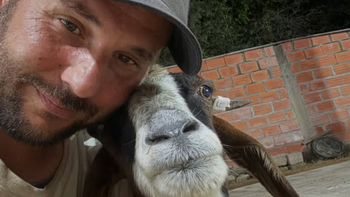 Dolor por la partida de Renata: murió la cabra que se convirtió en símbolo de esperanza tras las inundaciones
