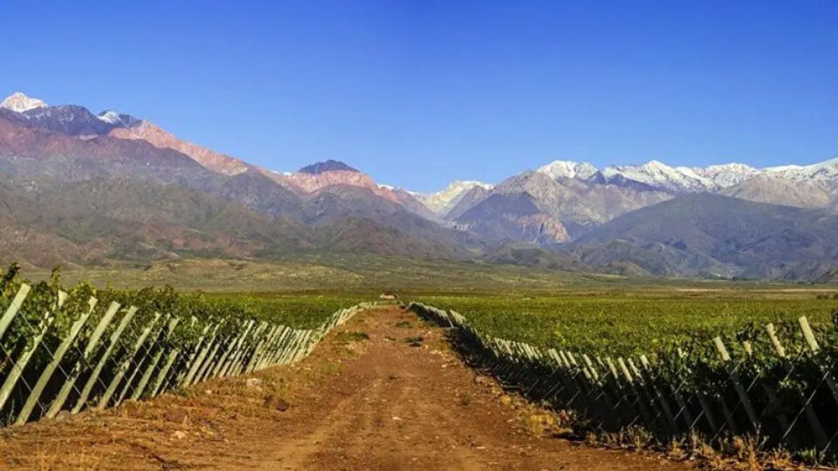 Ni Tucumán ni Salta: el pueblito de Mendoza donde se hacen los mejores vinos.