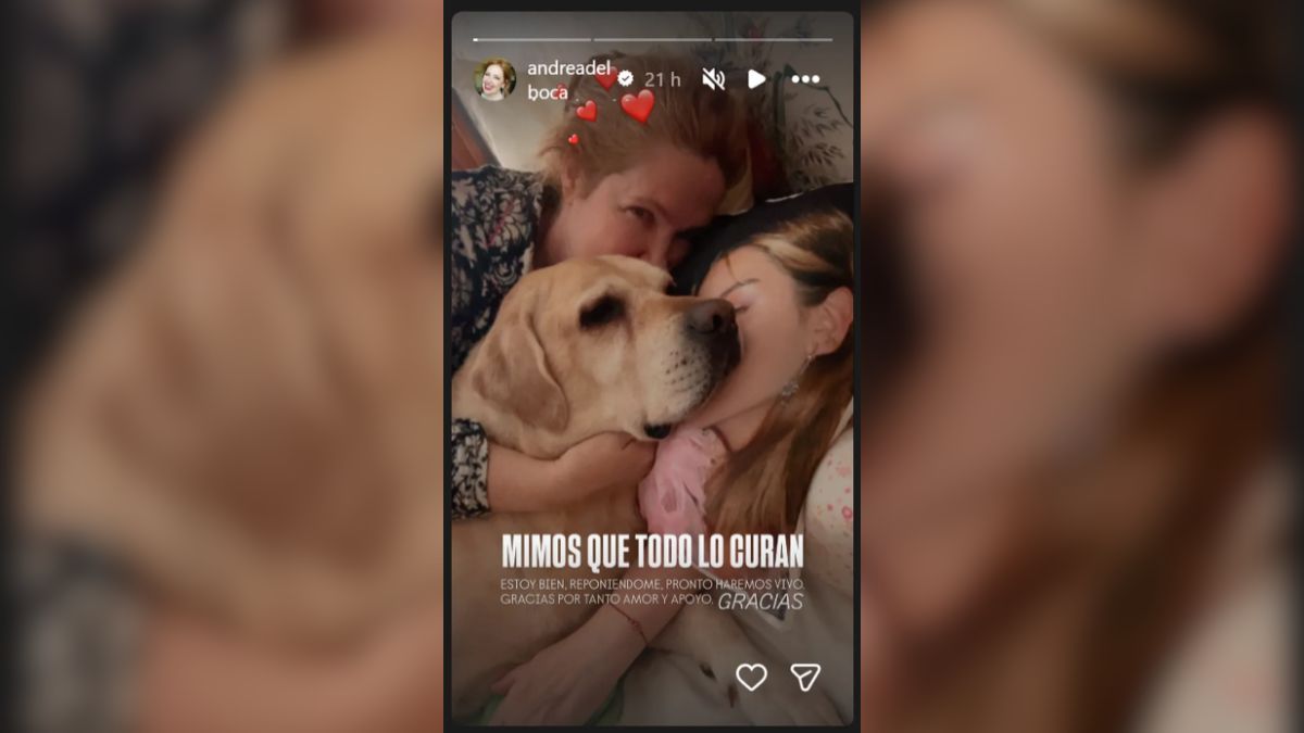 A través de una historia de Instagram, Andrea del Boca le agradeció a sus seguidores por el acompañamiento. A través de una historia de Instagram, Andrea del Boca le agradeció a sus seguidores por el acompañamiento.