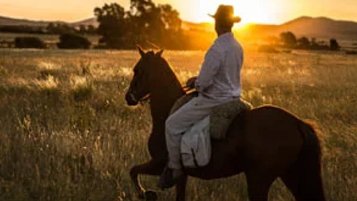 Cabalgatas y Trekking en las sierras también son actividades clásicas de la zona e ideales para practicar todo el año. Foto: Agencia Noticias Argentinas - Turismo Sierra de la Ventana.