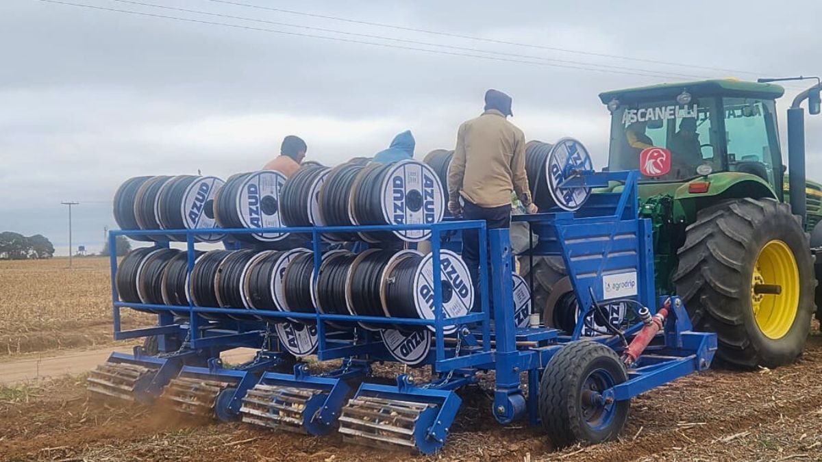 La inversión inicial del sistema adoptado por Boccolini ronda los 4.000 a 5.000 dólares por hectárea, aunque puede variar entre un 20% y un 30%, según el terreno y el diseño.