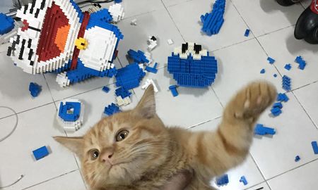 construye una escultura de mas de 2.400 piezas y su gato la destruye sin remordimientos construye una escultura de mas de 2.400 piezas y su gato la destruye sin remordimientos