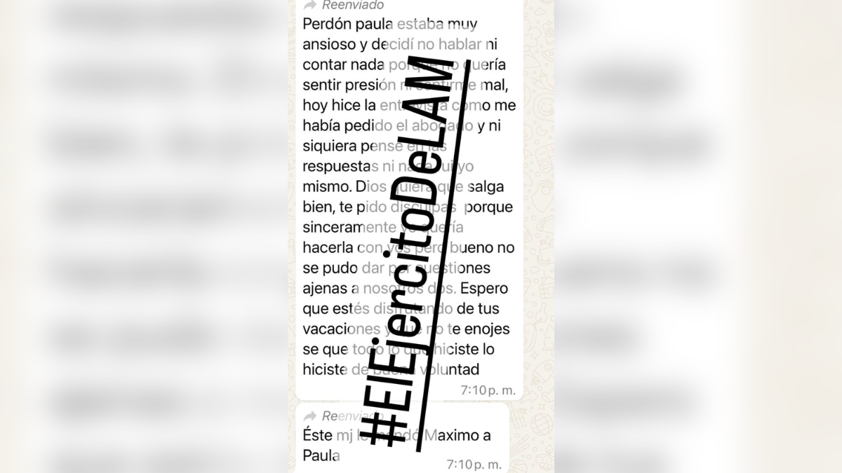 LAM difundió el mensaje que Máximo Thomsen le envió a la periodista Paula Bernini. LAM difundió el mensaje que Máximo Thomsen le envió a la periodista Paula Bernini.