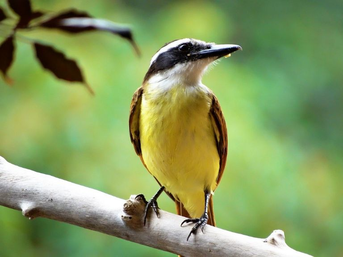 Con su pareja comparten la vida entera. 