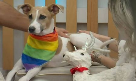 Arturo es la nueva mascota de Gran Hermano 2023. Arturo es la nueva mascota de Gran Hermano 2023.