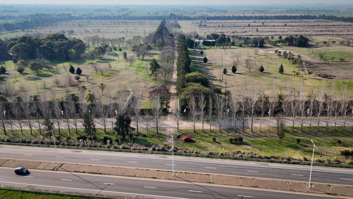Más del 50% del predio estará estinado a espacios comunes forestados, con bosque nativo y ruinas preservadas del casco original. Más del 50% del predio estará estinado a espacios comunes forestados, con bosque nativo y ruinas preservadas del casco original.
