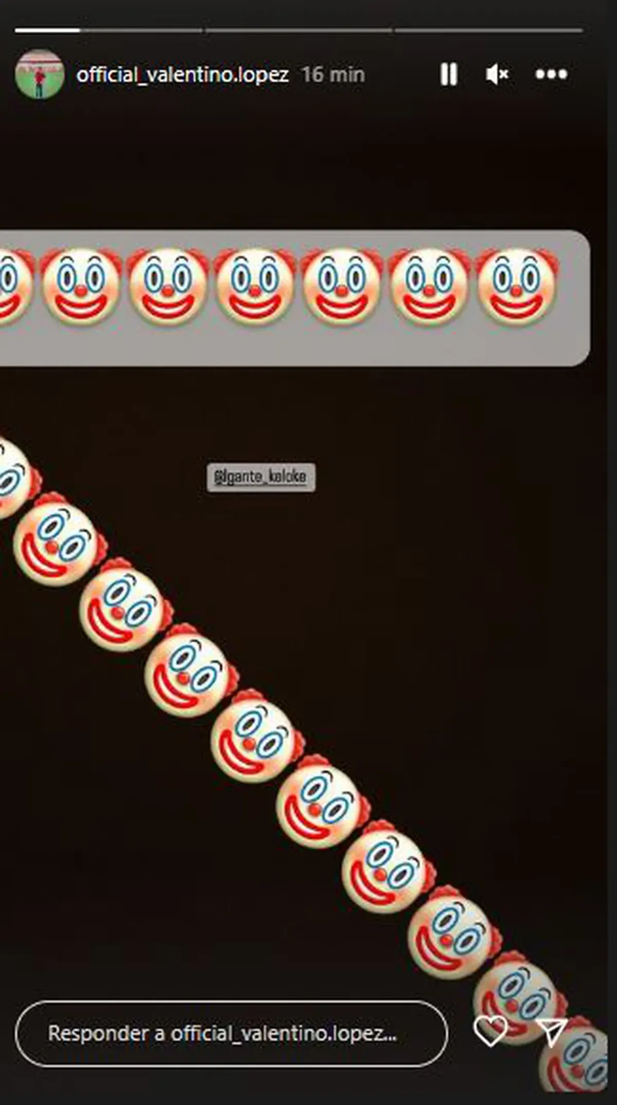 Historia que subió el hijo mayor de Wanda Nara.