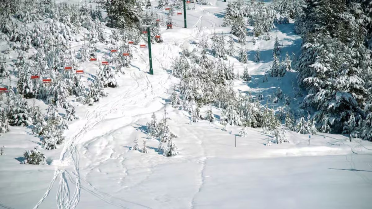 Los ascensos para peatones habilitan a quienes no esquían a llegar a los refugios más altos, democratizando el acceso a las vistas panorámicas del Parque Nacional Nahuel Huapi. Los ascensos para peatones habilitan a quienes no esquían a llegar a los refugios más altos, democratizando el acceso a las vistas panorámicas del Parque Nacional Nahuel Huapi.