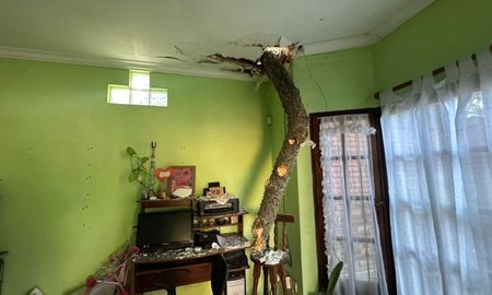 Este jueves, personal municipal trabajaba en el lugar para retirar el árbol, que permanecía sostenido parcialmente por un paredón. Este jueves, personal municipal trabajaba en el lugar para retirar el árbol, que permanecía sostenido parcialmente por un paredón.