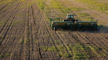 Trigo 2026: arrancó la siembra con menos superficie proyectada en el centro norte de Santa Fe Trigo 2026: arrancó la siembra con menos superficie proyectada en el centro norte de Santa Fe