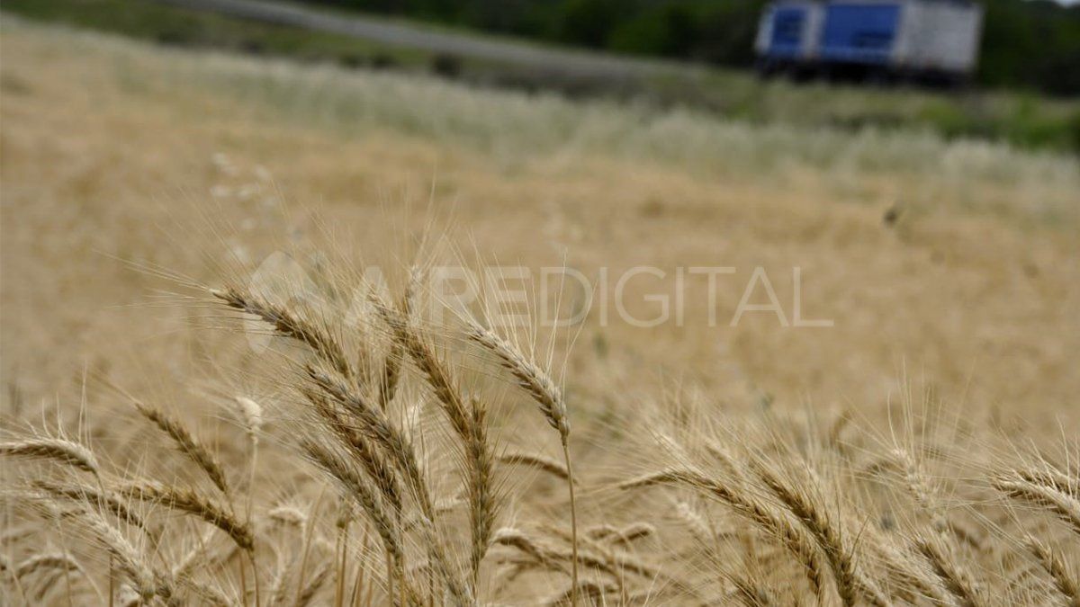 La pandemia de Covid-19 es al menos la sexta que afecta a la salud global desde la gran gripe de 1918.