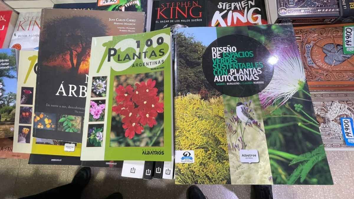 Las plantas autóctonas como el aguaybay, el ceibo o la Santa Lucía no solo embellecen el entorno, sino que también aportan beneficios medicinales, culinarios y ecológicos. Las plantas autóctonas como el aguaybay, el ceibo o la Santa Lucía no solo embellecen el entorno, sino que también aportan beneficios medicinales, culinarios y ecológicos.