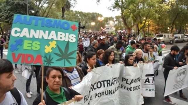 Santa Fe participará de la primera investigación pública sobre uso de cannabis