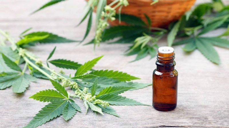 Justicia federal rosario cannabis e1545418692387.jpg