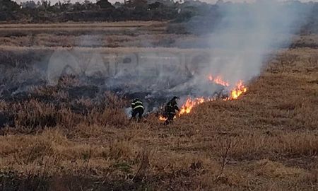 Incendio de pastizales: durante enero, los bomberos zapadores de la URI apagaron 131. Incendio de pastizales: durante enero, los bomberos zapadores de la URI apagaron 131.