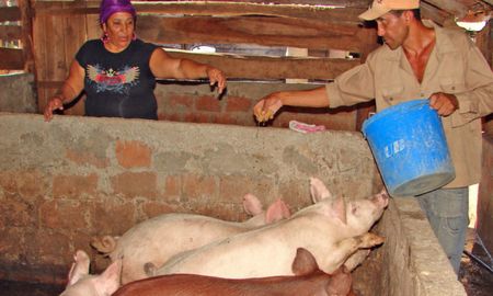 el decreto que reduce los aportes patronales incluye a la leche pero deja afuera a las carnes
