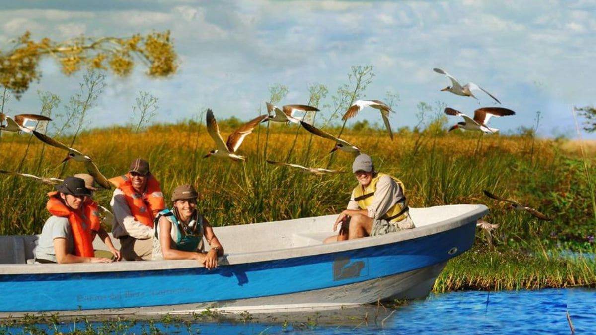 Ni Bariloche ni Mar del Plata: un hermoso parque en Corrientes para vivir una aventura única