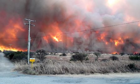 El 95% de los incendios son provocados por el humano, una pequeña porción de manera accidental (como un fogón mal apagado) y la mayoría de forma deliberada, casi siempre con el objetivo de deforestar o “limpiar” un territorio para usos agropecuarios. El 95% de los incendios son provocados por el humano, una pequeña porción de manera accidental (como un fogón mal apagado) y la mayoría de forma deliberada, casi siempre con el objetivo de deforestar o “limpiar” un territorio para usos agropecuarios.