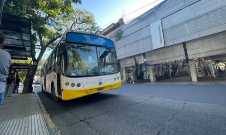 En Santa Fe, por ejemplo, el estudio de costos ya arroja un valor estimado de $2.020 a $2.080 por pasaje. En Santa Fe, por ejemplo, el estudio de costos ya arroja un valor estimado de $2.020 a $2.080 por pasaje.