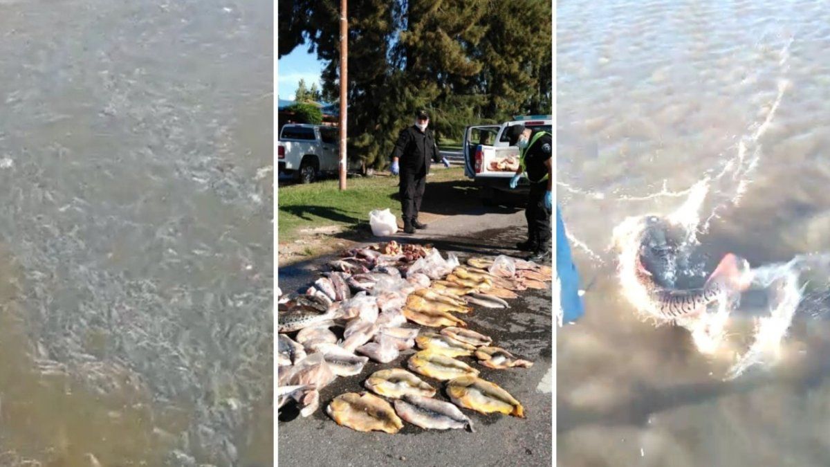 El decomiso de pescados suele ser noticia en la regi&oacute;n, pero se produce cuando el da&ntilde;o ambiental ya fue provocado.