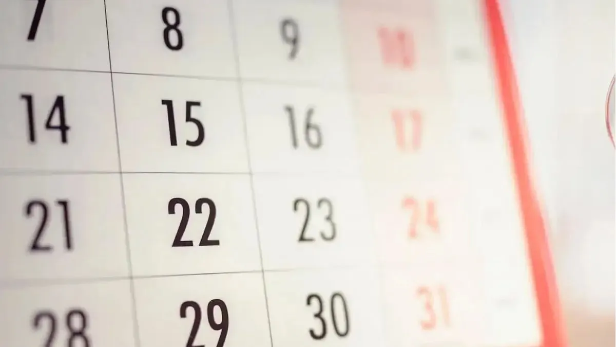 Feriados 2024: el calendario de los feriados nacionales del año