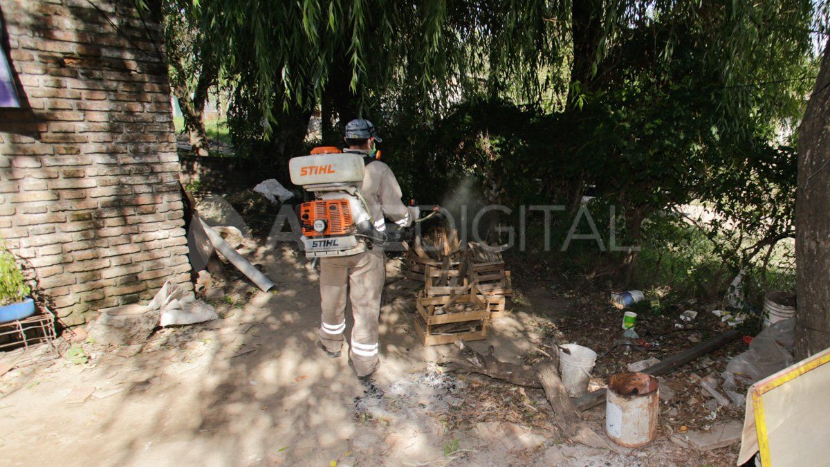 Con epicentro en Reconquista y Avellaneda, el brote de dengue en la provincia ya superó los 4500 casos