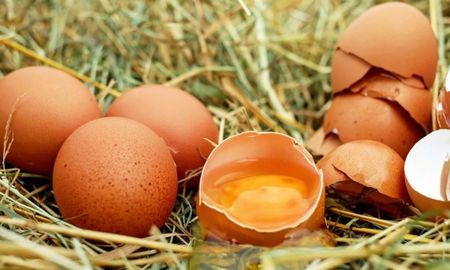 Salmonelosis: el ministerio de Salud de Jujuy informó que se encuentra en análisis un posible brote de casos Salmonelosis: el ministerio de Salud de Jujuy informó que se encuentra en análisis un posible brote de casos