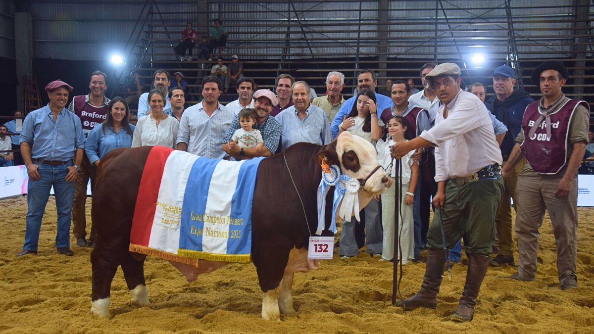 El Gran Campe&oacute;n Ternero fue para Caba&ntilde;a Santa Irene, de Entre R&iacute;os.