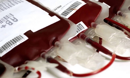 recuerdan que la orientacion sexual no es impedimento para la donacion de sangre o plasma recuerdan que la orientacion sexual no es impedimento para la donacion de sangre o plasma