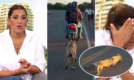 Fuerte repudio de Maju Lozano a un hombre que maltrató brutalmente a un perro Fuerte repudio de Maju Lozano a un hombre que maltrató brutalmente a un perro