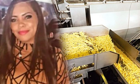 Muere tras caer en una máquina trituradora de papas ante la vista de varios trabajadores Muere tras caer en una máquina trituradora de papas ante la vista de varios trabajadores