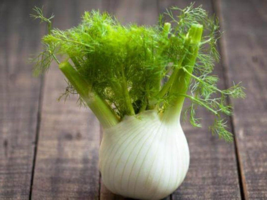 La infusión tiene efectos sobre trastornos gastrointestinales