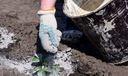 Perfecto ayudante para mantener la salud de tus plantas Perfecto ayudante para mantener la salud de tus plantas