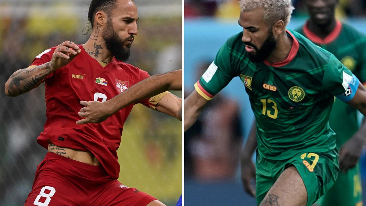 Camerún vs Serbia