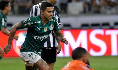 palmeiras es el primer finalista de la copa libertadores palmeiras es el primer finalista de la copa libertadores