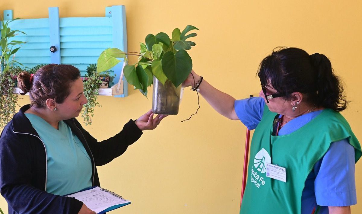 En la ciudad de Santa Fe contin&uacute;an las tareas de prevenci&oacute;n contra el dengue y el cronograma de descacharrado asistido.