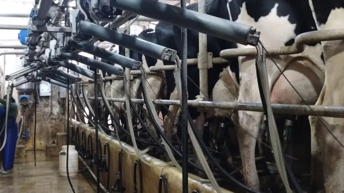 Fortalecer la calidad de la leche será fundamental para superar el tope de los once mil millones de litros anuales.