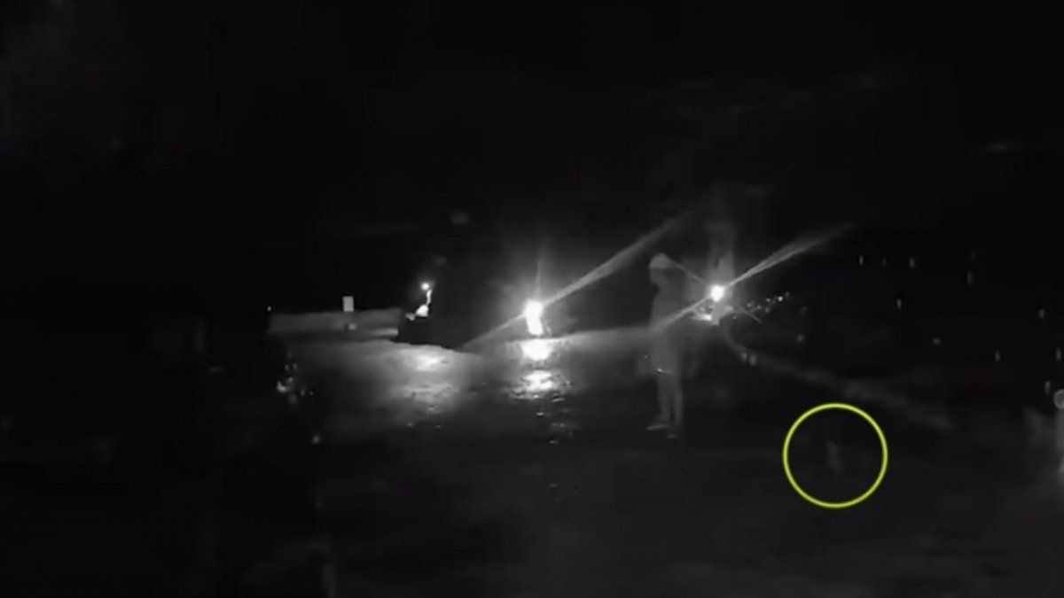 Ambos no entienden muy bien qué está pasando.&nbsp;